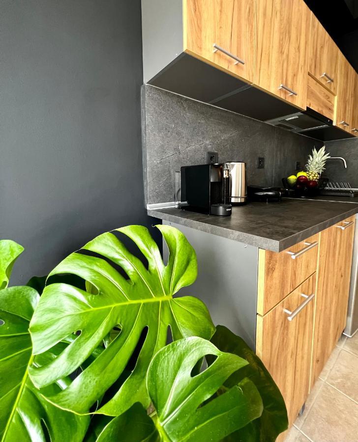Downtown Apartments Rhodes City Екстериор снимка
